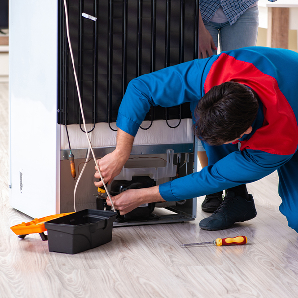 what are the common refrigerator repair services in Neffs